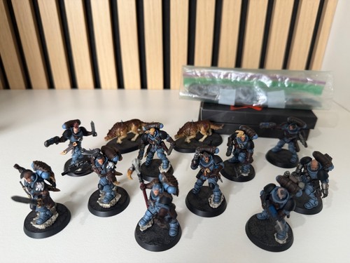 Painted wolf scouts warhammer - painted,