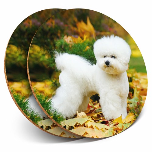 Coasters white bichon - 2,