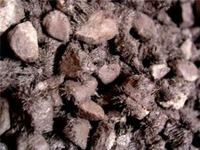 Lodestone all natural