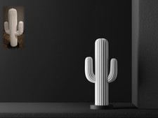 Cactus Ornament Modern Home