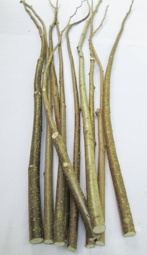 15x 100cm long - 15x,