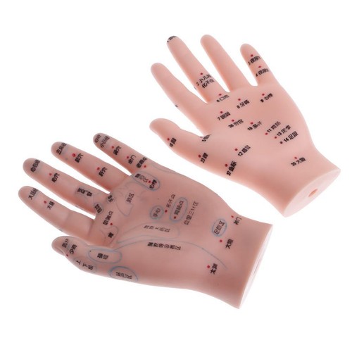 Set 2pcs human hands - 2pcs,