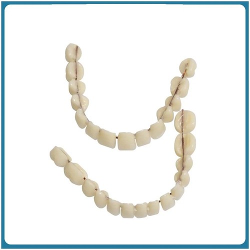 Smile snap false - smile, teeth