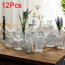 Glass Bud Vase Set of 12 Small