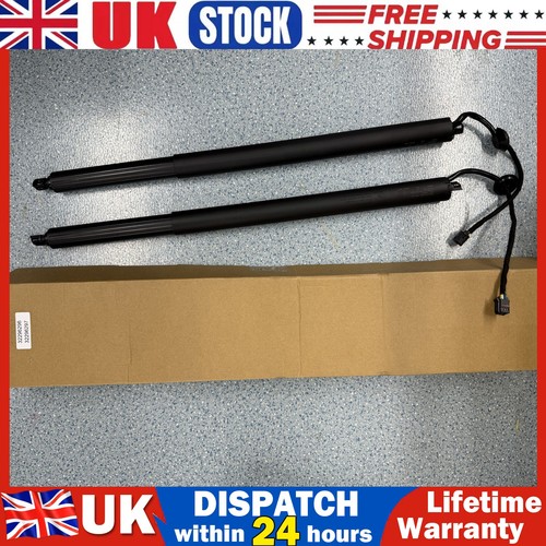 Rear electric tailgate gas - electric,