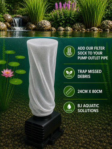 Koi carp pond sock filter - carp',