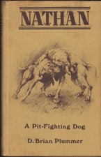 NATHAN A Pit - Fighting Dog D