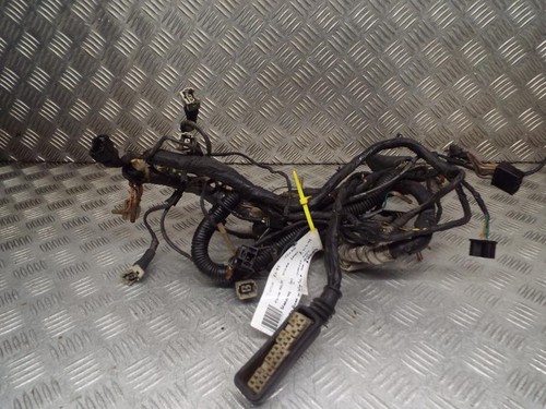 Suzuki xn85 turbo - xn85,
