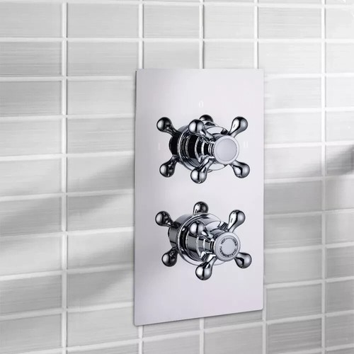 Traditional double outlet - traditional,