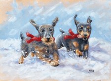 Dachshund Through The Snow, Christmas cards pack of x10 by Paul Doyle. C680X