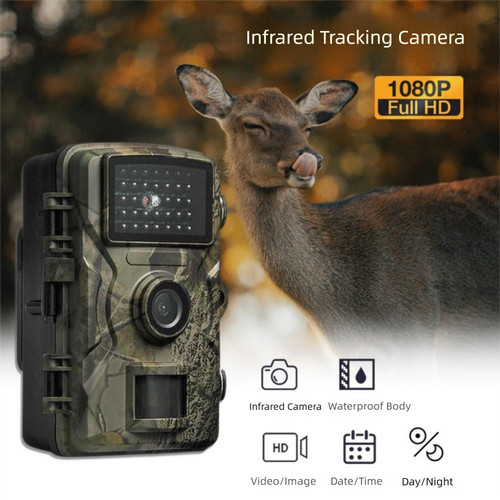 1080p video outdoor - hd, trail