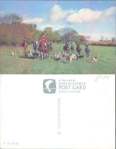 Fox hunting scene salmon ltd - fox,