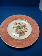 Wedgwood SARAH'S GARDEN 21cm Side Salad Plate Primula Auricula Red Rim 1997