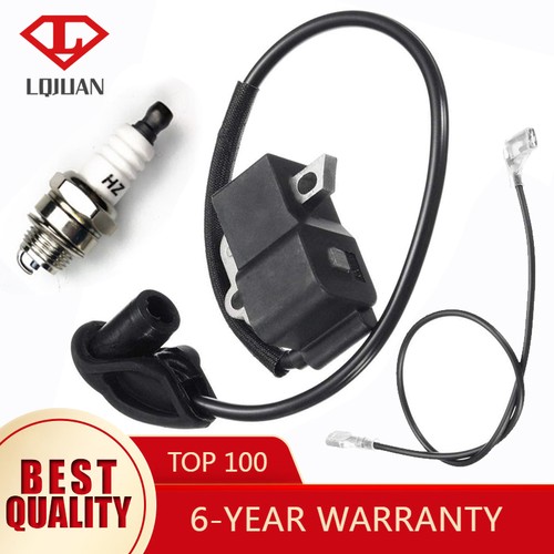 Ignition coil with spark - coil, plug