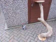 Extra large - piece like  Driftwood  52"- 1320mm