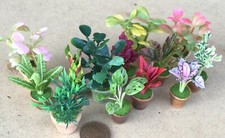 Dolls House Mixed Plants In