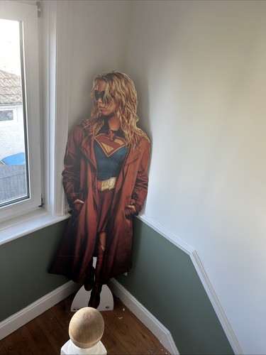 Marvels cardboard cutout - cardboard,