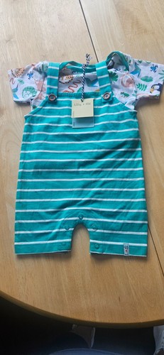Baby boys dungarees 6 - boys,
