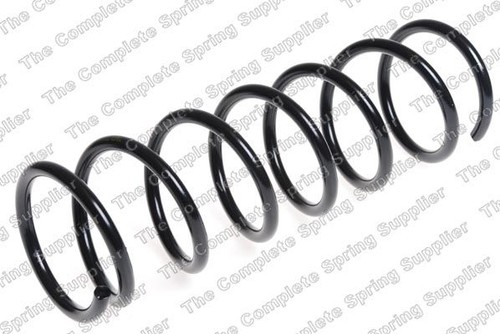 Suspension coil spring rear - coil,