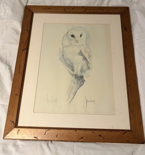 Spencer hodge owl painting - spencer, painting/