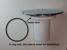 Replacement dip tube O ring