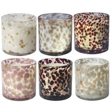 Desire Boutique Animal Print