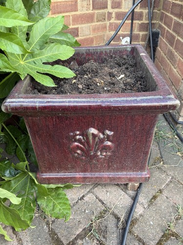 Large square burgundy glazed - square,