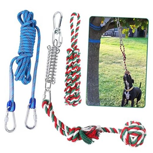 Dog outdoor bungee hanging - outdoor,