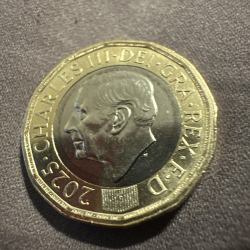 Pound coin with bees - 1,