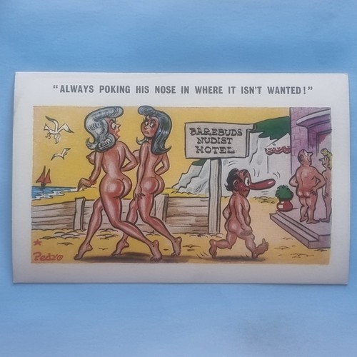 Comic postcard c1970 barebuds - comic,