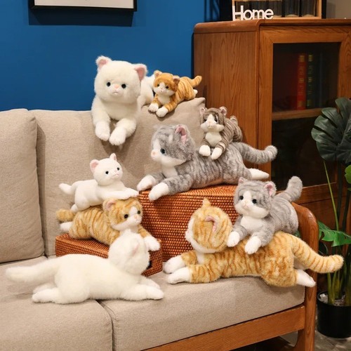 Cute kitten plush - cute, toy