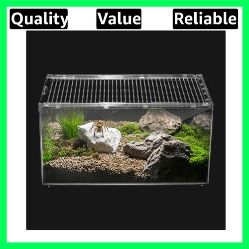 Reptile terrarium spider - pc, terrarium,spider