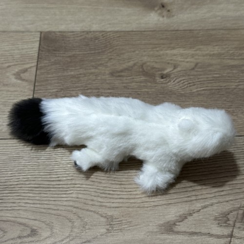 White snowy squirrel animal