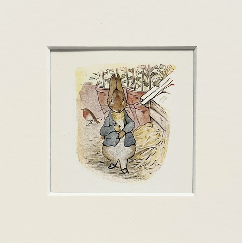 Beatrix potter peter rabbit - potter,