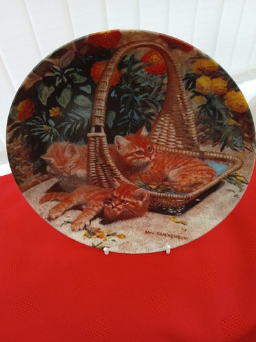 Knowles plate cats flower - ",