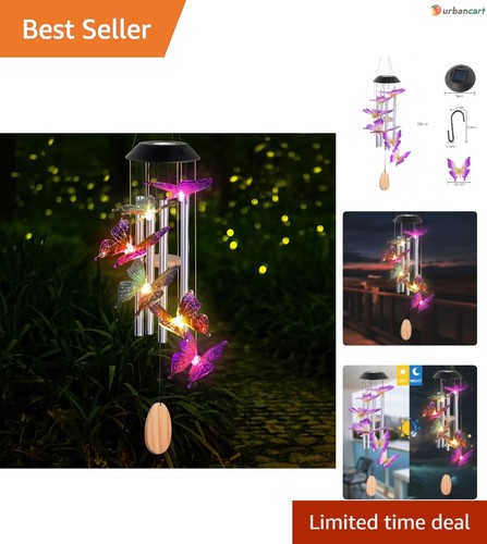 Illuminate delight solar - illuminate, &