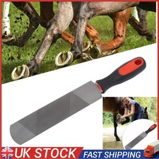 8 Inch Hoof Rasp Carbon Steel