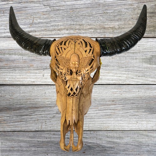 Large murrah buffalo skull - large,