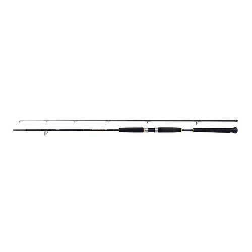 Beastmaster pilk rod 40m - ax,