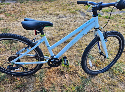 Trek girls mountain bike - 24",