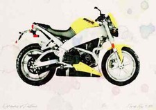 A4 Photo Buell Lightning XB9S