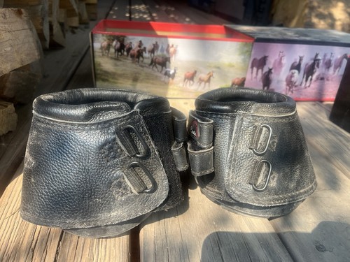 Cavallo the simple - simple, set