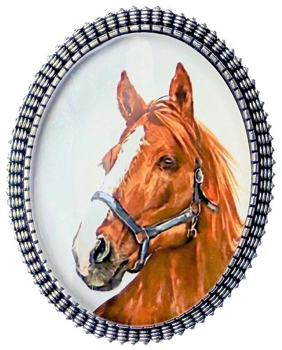 Horse brooch with glass - brooch,