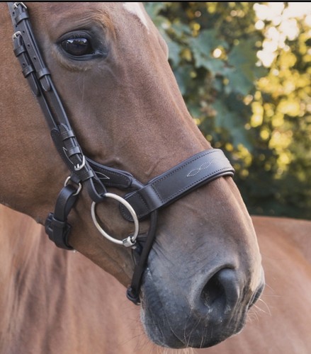 Anatomical detailed noseband - anatomical,