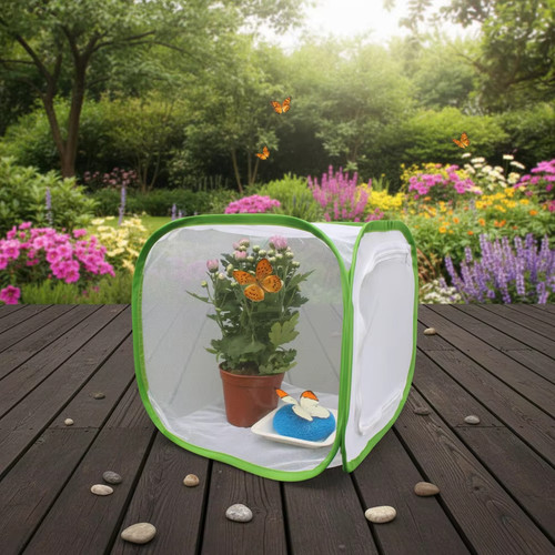 Foldable insect breeding cage - foldable,