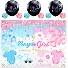 Gender Reveal Backdrop banner