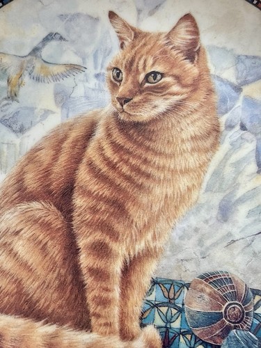 Cats from around - cats,