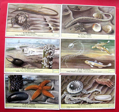 Liebig s1592 f1594 - s1592,
