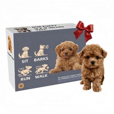 Nicco Robot Dog, Realistic