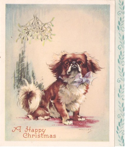 Japanese spaniel sits under